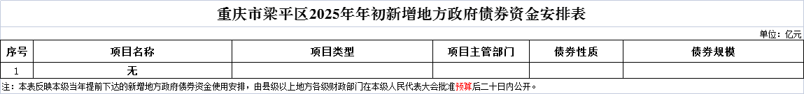 6.重慶市梁平區2025年年初新增地方政府債券資金安排表.png